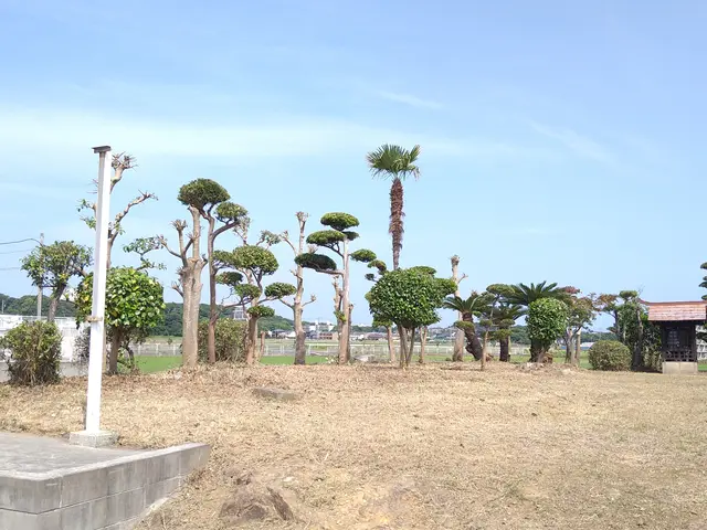 【一級造園施工管理技士】17年の実績◎植物に優しい理想の庭を再現サービスの画像