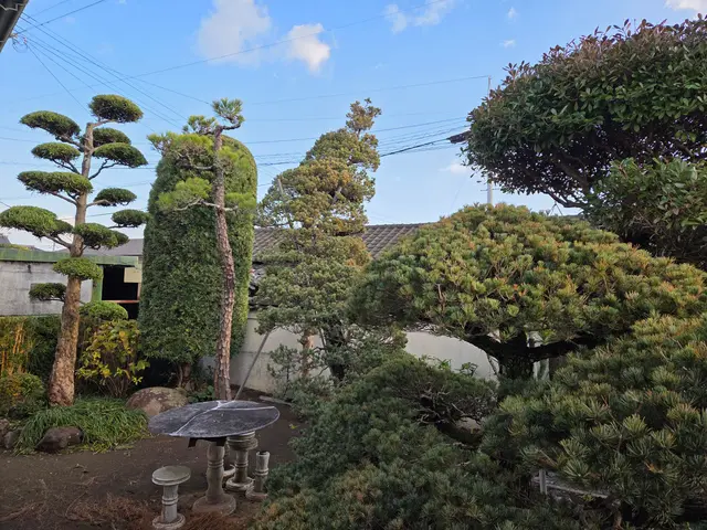 【一級造園施工管理技士】17年の実績◎植物に優しい理想の庭を再現サービスの画像