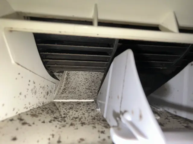 複数台割引有り！クレジット、PayPayなどキャッシュレス対応！損害保険加入済！サービスの画像