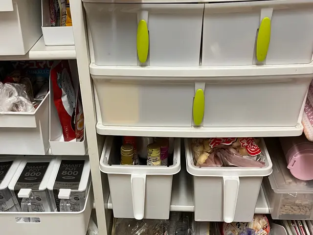 整理収納清掃コーディネーターにお任せください！大手での作業実績は100件以上ありサービスの画像