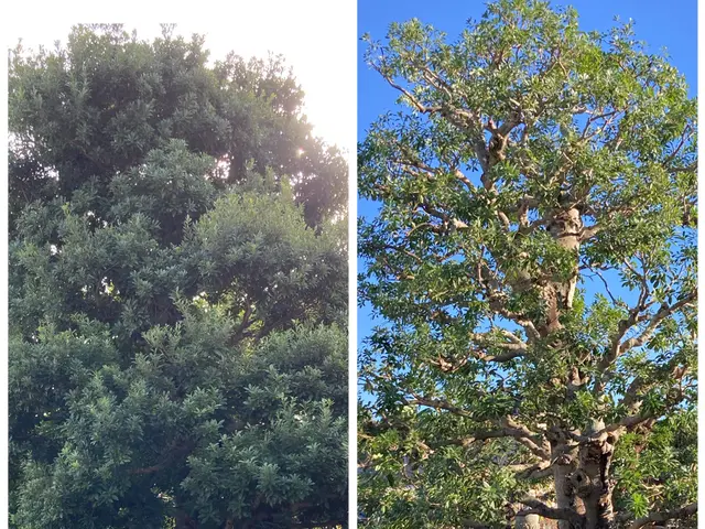 【お庭のお悩みお任せください】どんなご要望もしっかり丁寧に対応いたします！サービスの画像