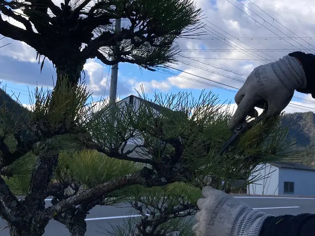 【お庭のお悩みお任せください】どんなご要望もしっかり丁寧に対応いたします！サービスの画像