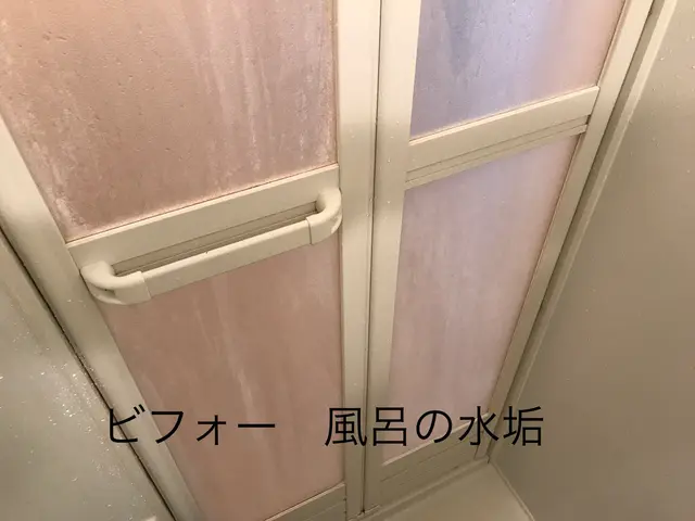 クリーニング専門　1日1件、丁寧な作業を心がけていますサービスの画像