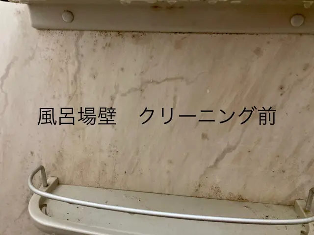 クリーニング専門　1日1件、丁寧な作業を心がけていますサービスの画像