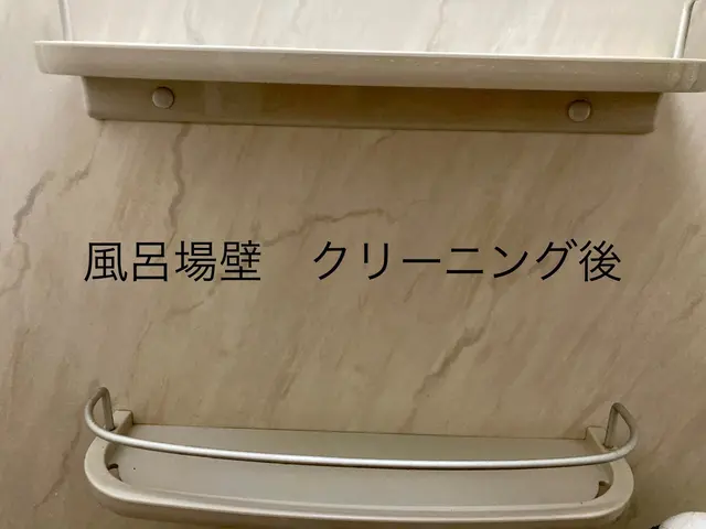 クリーニング専門　1日1件、丁寧な作業を心がけていますサービスの画像