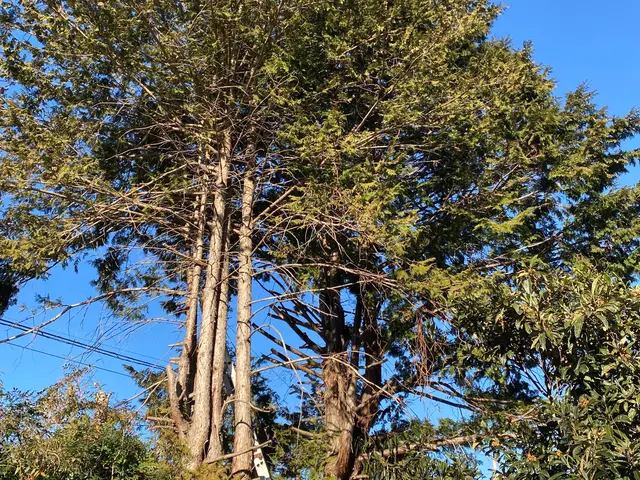 【業歴10年以上の実績】年中無休◎女性スタッフ同行可能◎仕上がり保証ありサービスの画像