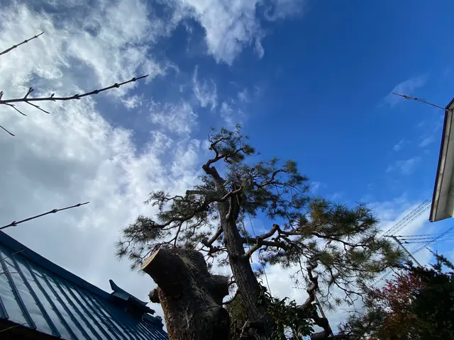 【業歴10年以上の実績】年中無休◎女性スタッフ同行可能◎仕上がり保証ありサービスの画像