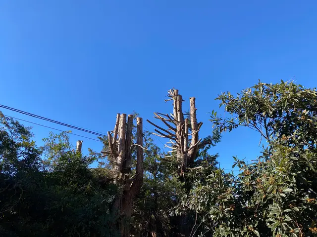 【業歴10年以上の実績】年中無休◎女性スタッフ同行可能◎仕上がり保証ありサービスの画像