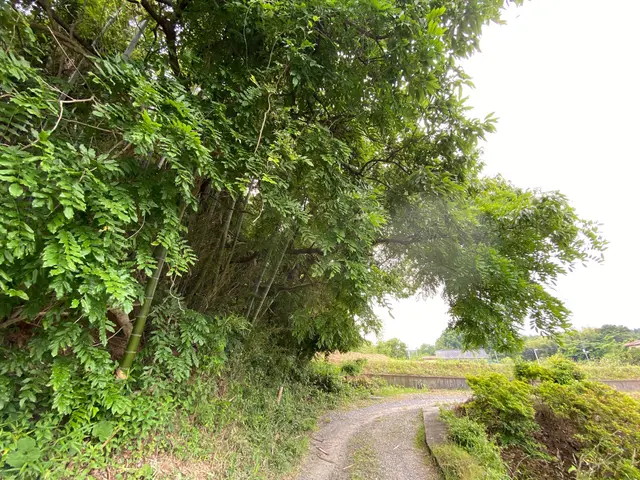 【業歴10年以上の実績】年中無休◎女性スタッフ同行可能◎仕上がり保証ありサービスの画像