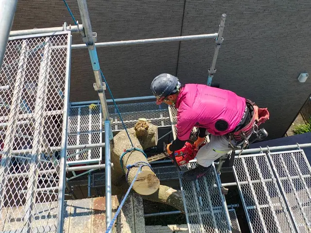 庭木の伐採、伐根サービスの画像