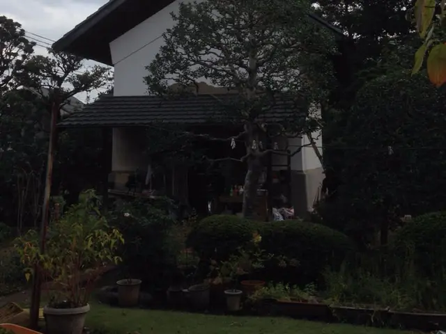 ◇植木・庭木の植え替え◇職人が作業終了まで丁寧に対応します！サービスの画像