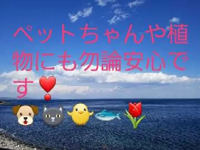 夫婦でお伺いします。お子様、ペットちゃん大歓迎、地域、非対応機種ご確認下さい！サービスの画像