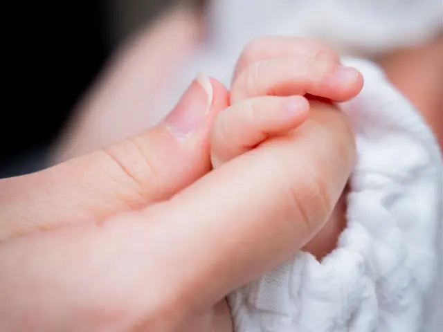 芸能事務所提携 / 産着無料貸出 / やさしい雰囲気で撮影します