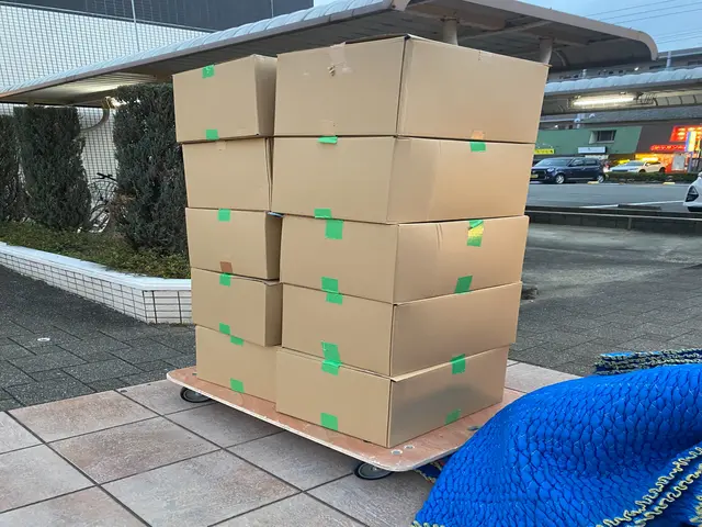 即日対応 当日の追加請求なし｜冷蔵庫1点〜引越しまで◎洗濯機無料設置｜2名作業可サービスの画像