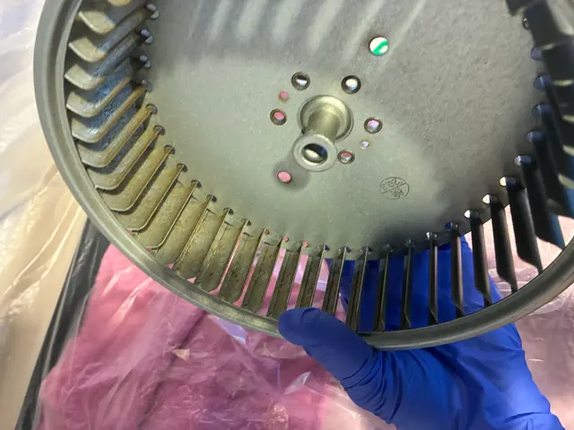 女性スタッフ同行可能サービスの画像