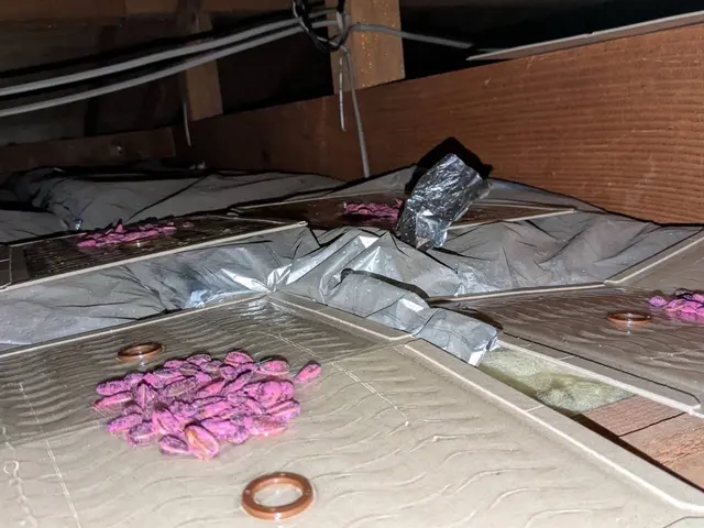 狩猟免許を持つプロが完全自社施工で安心駆除！アフターサービス付きで再発まで防止サービスの画像