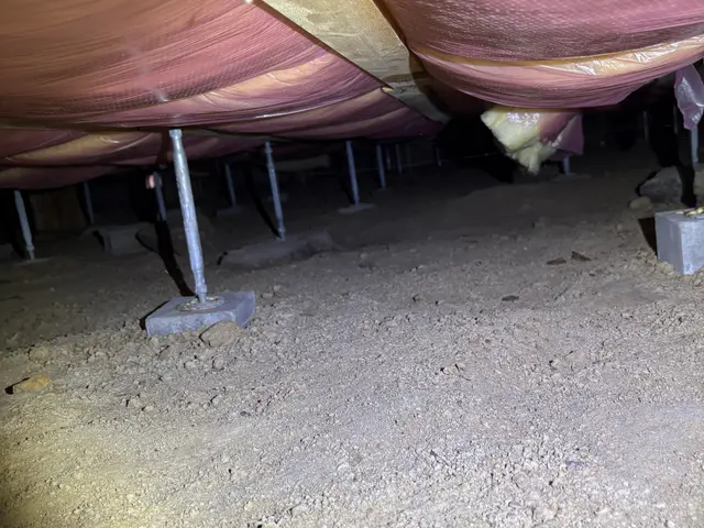 狩猟免許を持つプロが完全自社施工で安心駆除！アフターサービス付きで再発まで防止サービスの画像