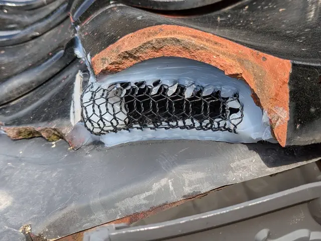 狩猟免許を持つプロが完全自社施工で安心駆除！アフターサービス付きで再発まで防止サービスの画像