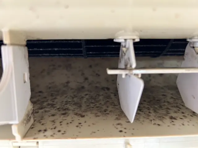 お客様の快適な生活空間作りの力になります！　抗菌コート1台無料！完全分解対応店！サービスの画像