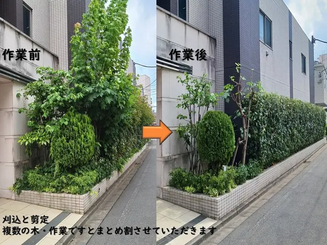◎10年の実績◎造園技能士◎損害保険加入◎継続して選ばれる仕事をご提供サービスの画像