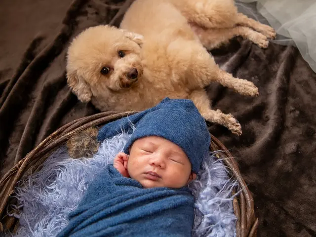 生まれたての尊さをママ目線で安全に優しく残す、特別なニューボーン撮影