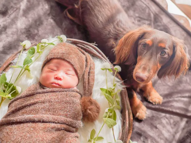 生まれたての尊さをママ目線で安全に優しく残す、特別なニューボーン撮影