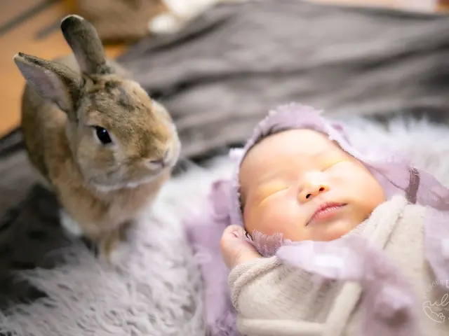 生まれたての尊さをママ目線で安全に優しく残す、特別なニューボーン撮影