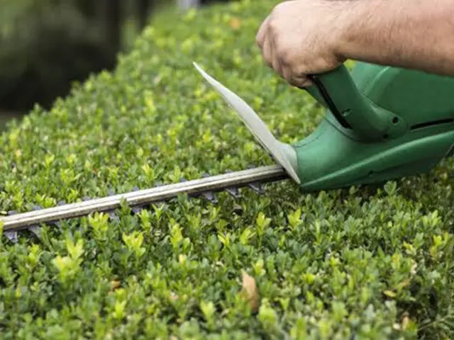 年末に向け非常に混み合います』是非ご予約はお早めに！　※松は別料金です。サービスの画像