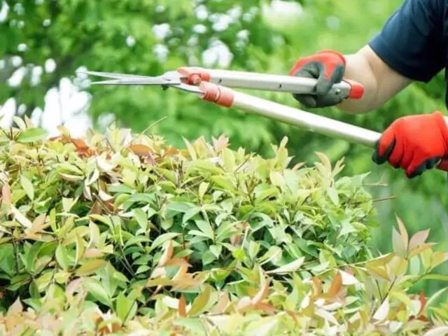 年末に向け非常に混み合います』是非ご予約はお早めに！　※松は別料金です。サービスの画像