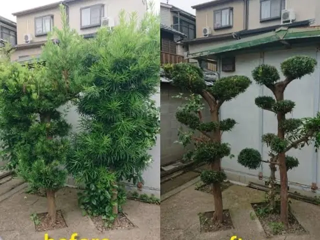 年末に向け非常に混み合います』是非ご予約はお早めに！　※松は別料金です。サービスの画像