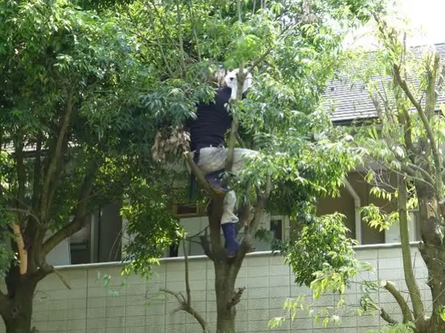 年末に向け非常に混み合います』是非ご予約はお早めに！　※松は別料金です。サービスの画像