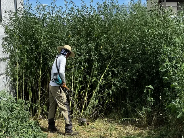 口コミ賞受賞店の草刈り！大型機械草刈り対応可！広い場合は計算方法変わります！サービスの画像