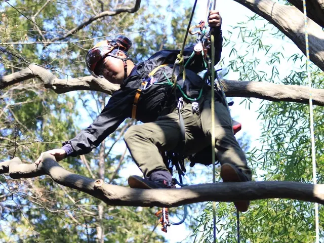 お庭の木から大木特殊伐採までサービスの画像