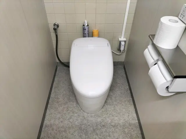 ※トイレ本体交換専門店｜床・壁工事なしでスムーズ交換！ペーパーホルダー設置も可サービスの画像