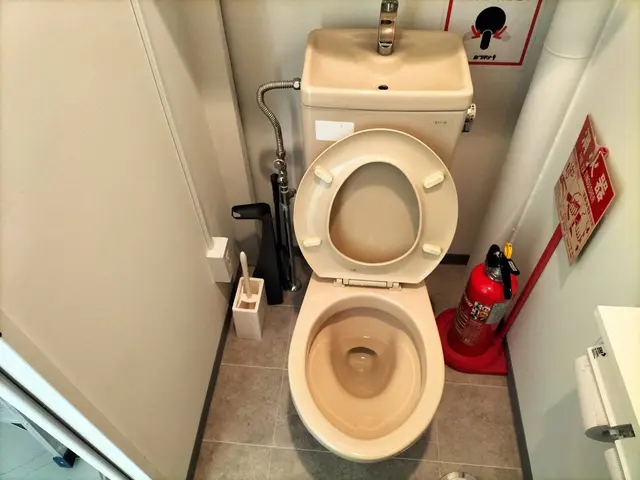 ※トイレ本体交換専門店｜床・壁工事なしでスムーズ交換！ペーパーホルダー設置も可サービスの画像