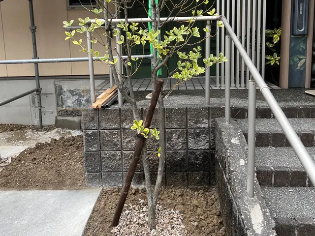 作業外注一切なし◎駐車場代お店負担♪豊富な経験と知識で安心！サービスの画像