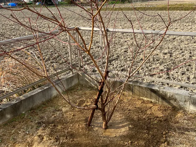 作業外注一切なし◎駐車場代お店負担♪豊富な経験と知識で安心！サービスの画像