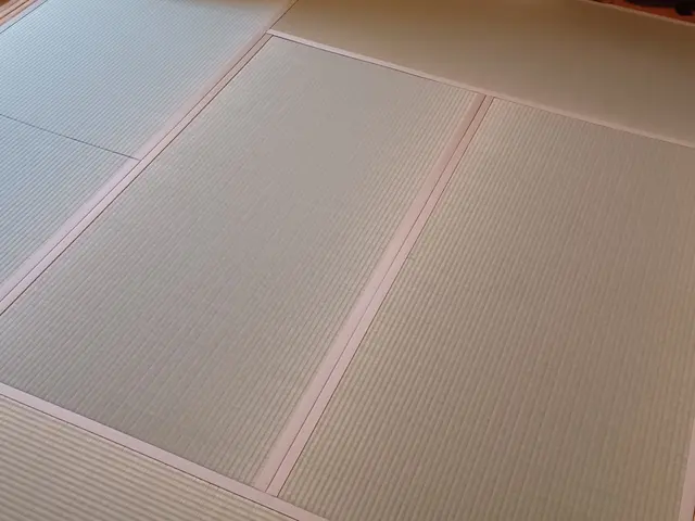 作業予約11/10〜当日仕上 職歴30年匠の技術 畳の事ならお気軽にご相談下さいサービスの画像