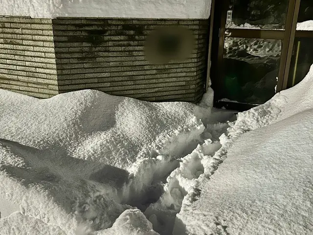\玄関前の簡易除雪/サービスの画像