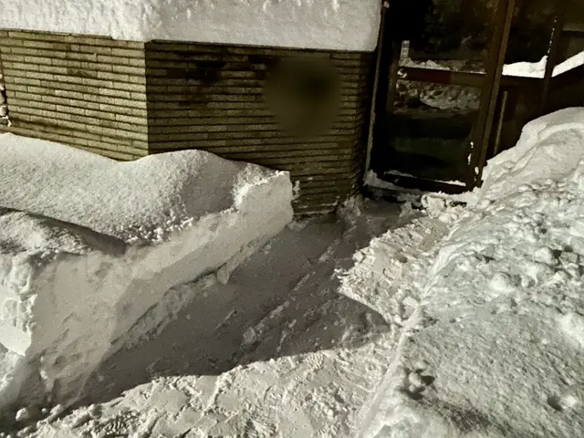 \玄関前の簡易除雪/サービスの画像