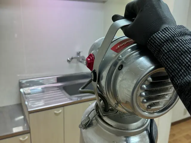 コバエ・チョウバエ駆除サービスの画像