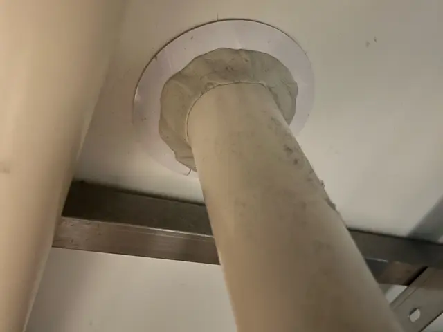 コバエ・チョウバエ駆除サービスの画像