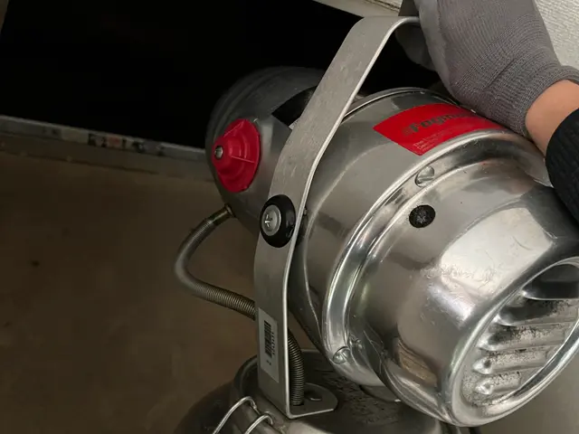 コバエ・チョウバエ駆除サービスの画像