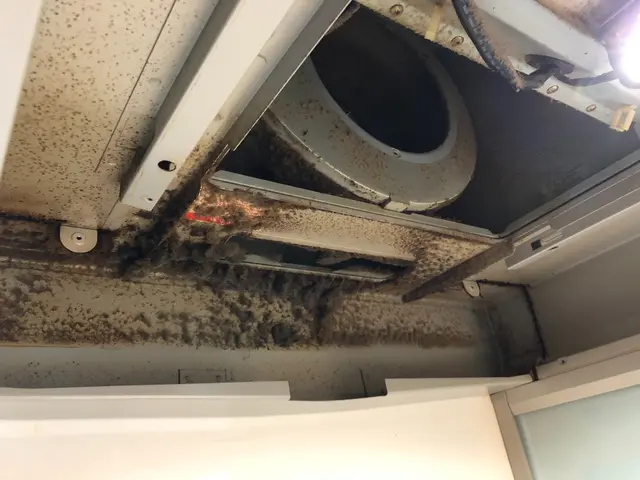 茨城県北【税込14000円 ！】コロナ対策OK★損害保険加入済◎サービスの画像