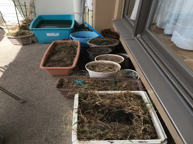 【女性スタッフ同行OK】損害保険加入済み◆営業時間外や対応地域外の相談も大歓迎！サービスの画像