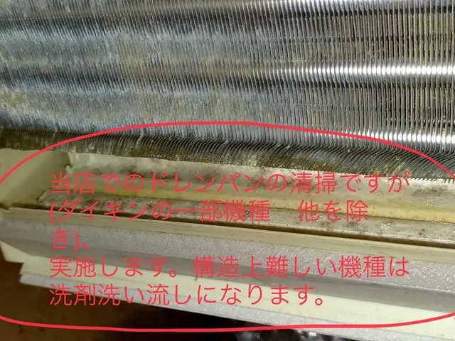 現金払選択で当日クレカタッチ決済可　天然エコ洗剤　ペット子供◎非喫煙者　抗菌無料サービスの画像