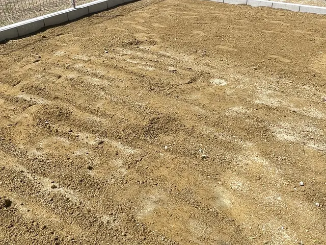 人工芝でお庭を明るく綺麗に☆サービスの画像