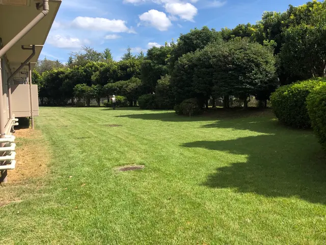 新年を綺麗なお庭で迎えませんか？お庭のことなら庭　翔黒にお任せください。サービスの画像