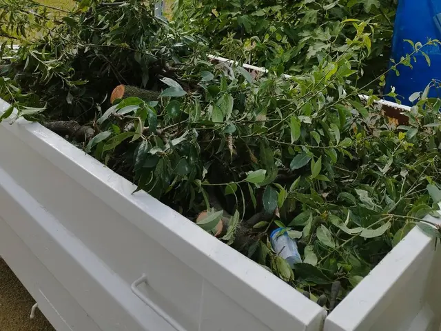 庭木の伐採伐根サービスの画像