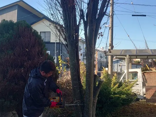 庭木の伐採伐根サービスの画像